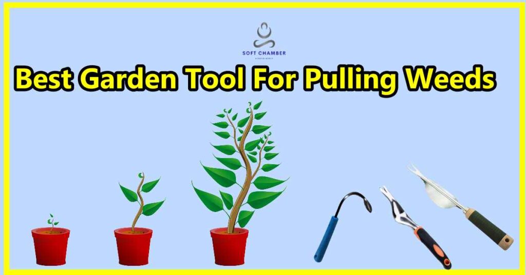 Best Garden Tool For Pulling Weeds