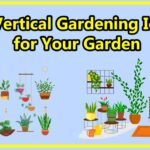 10 Vertical Gardening Ideas for Your Garden