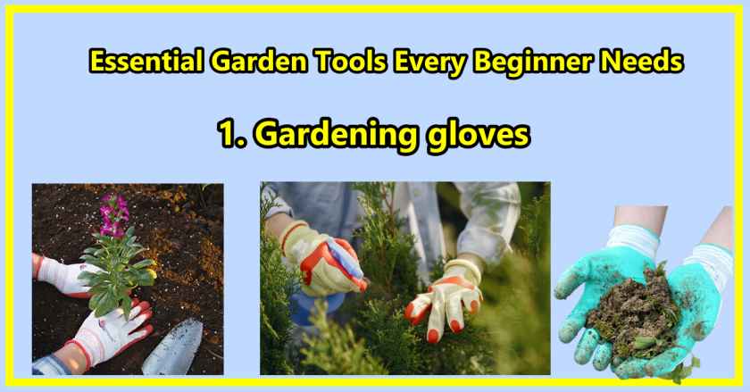 Essential Garden Tools Every Beginner Needs